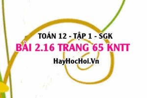 Bài 2.16 trang 65 Toán 12 tập 1 Kết nối tri thức